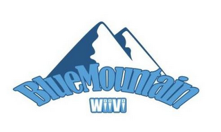 BLUEMOUNTAIN WIIVI logo