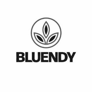 BLUENDY logo