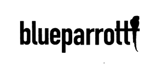 BLUEPARROTT logo