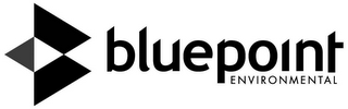 BLUEPOINT ENVIRONMENTAL logo