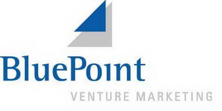 BLUEPOINT VENTURE MARKETING logo