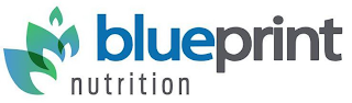 BLUEPRINT NUTRITION logo