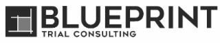 BLUEPRINT TRIAL CONSULTING logo