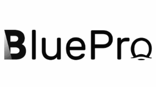 BLUEPRO logo