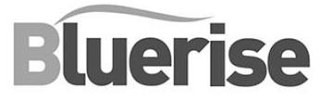 BLUERISE logo