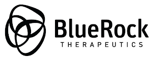 BLUEROCK THERAPEUTICS logo