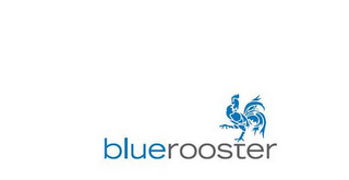 BLUEROOSTER logo