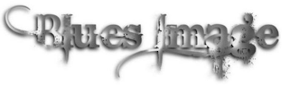 BLUES IMAGE logo