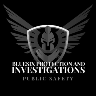 BLUESIX PROTECTION AND INVESTIGATIONS PUBLIC SAFETY logo