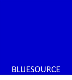 BLUESOURCE logo