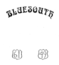 BLUESOUTH logo