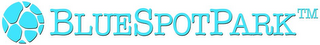 BLUESPOTPARK logo