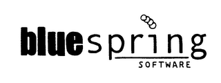 BLUESPRING SOFTWARE logo