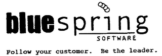 BLUESPRING SOFTWARE FOLLOW YOUR CUSTOMER. BE THE LEADER. logo