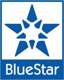 BLUESTAR logo
