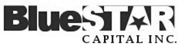 BLUESTAR CAPITAL INC. logo