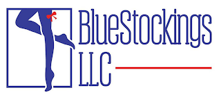 BLUESTOCKINGS LLC logo