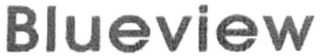BLUEVIEW logo