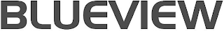 BLUEVIEW logo