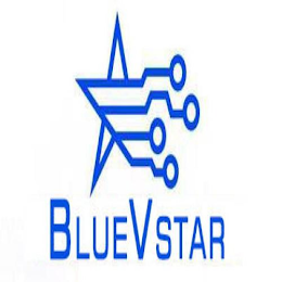 BLUEVSTAR logo