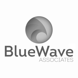 BLUEWAVE ASSOCIATES logo