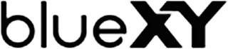 BLUEXY logo