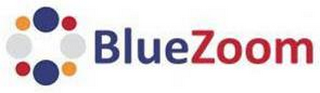 BLUEZOOM logo