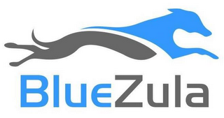 BLUEZULA logo