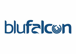 BLUFALCON logo