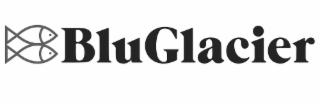 BLUGLACIER logo
