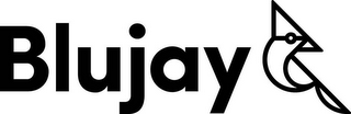 BLUJAY logo