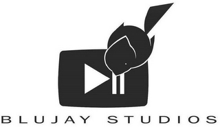 BLUJAY STUDIOS logo
