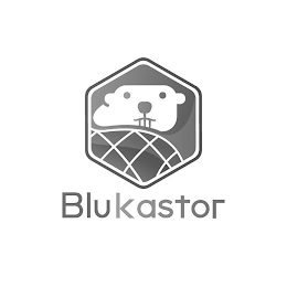 BLUKASTOR logo