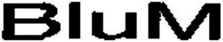 BLUM logo