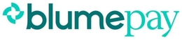 BLUMEPAY logo