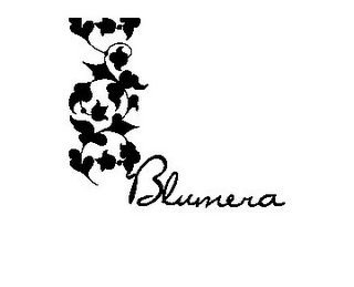 BLUMERA logo