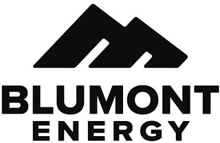 BLUMONT ENERGY logo