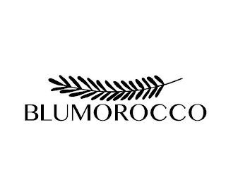 BLUMOROCCO logo