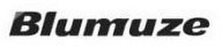 BLUMUZE logo
