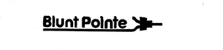 BLUNT POINTE logo
