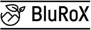 BLUROX logo