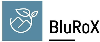 BLUROX logo