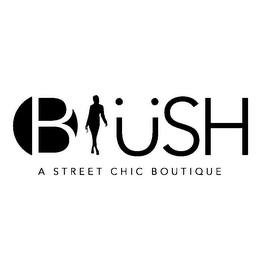 BLUSH A STREET CHIC BOUTIQUE logo