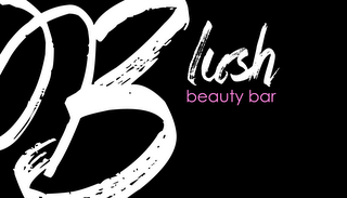 BLUSH BEAUTY BAR logo