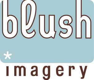 BLUSH IMAGERY logo