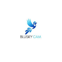 BLUSKY CAM logo