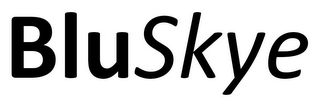 BLUSKYE logo
