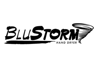 BLUSTORM HAND DRYER logo