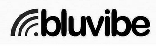 BLUVIBE logo