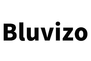 BLUVIZO logo